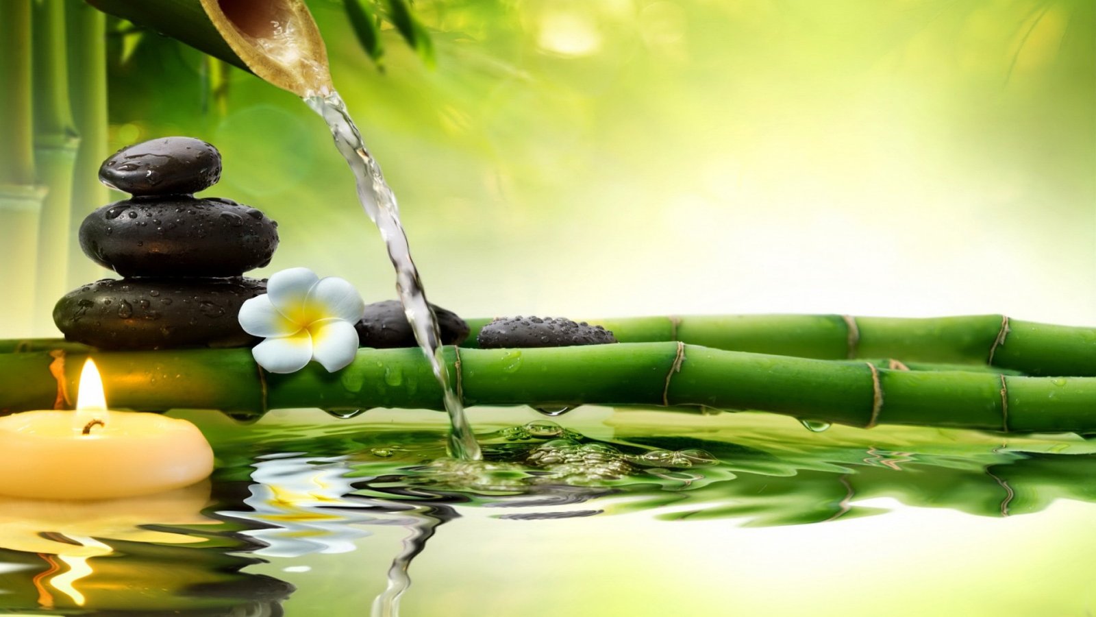 Zen setting — smooth balanced stones, bamboo water spout and a frangipani flower beside still water